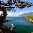 Иконка программы: Lake Baikal