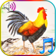 Ikona programu: Funny Wake Up Ringtones