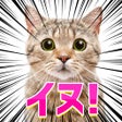 Ícone do programa: よく見ると変な画像