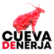 程序图标：The Nerja Cave