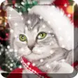 Christmas Cat  Live Wallpaper