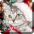 Christmas Cat  Live Wallpaper