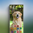 Иконка программы: Theme for Samsung Galaxy …