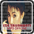 プログラムのアイコン：Itje Trisnawati Badai Bir…