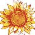 Иконка программы: Wildflower Glitter Co. LL…