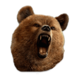 Ikona programu: Animal faces in your pict…