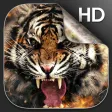 Tiger Live Wallpaper HD