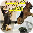 Icon of program: تربية وتدريب الكلاب