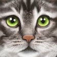 Icon of program: Ultimate Cat Simulator