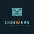 Icono de programa: Cobwebs Web Intelligence