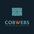 Icon of program: Cobwebs Web Intelligence