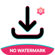 TikDown: No Watermark Download