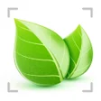 Plant Shoot Plant Identifier icon