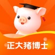 程序图标：正大猪博士