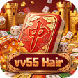 Иконка программы: vv55Hair