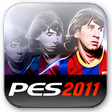 Symbol des Programms: PES 2011