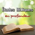 程序图标：Études Bibliques en Profo…