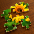 Programikonen: Cheerful Riddle