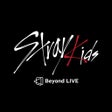 ไอคอนของโปรแกรม: Stray Kids AR