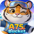 Иконка программы: A75Bucket