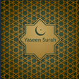 プログラムのアイコン：Yaseen Surah - English