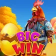 Pictogram van programma: Egg-laying Rooster