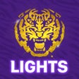 プログラムのアイコン：Tiger Lights