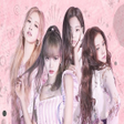 プログラムのアイコン：اغاني BLACKPINK بدون انتر…