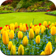 プログラムのアイコン：Garden wallpaper