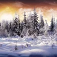 프로그램 아이콘: Winter Wallpapers