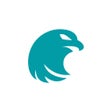 程序图标：Screening Eagle Inspect