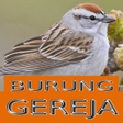 Ikon program: Master Kicau Burung Gerej…