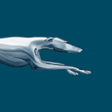Ikon program: Greyhound: Cheap Bus Tick…