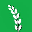 Ikon program: AgriMatching
