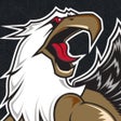 程序图标：Grand Rapids Griffins