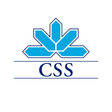 程序图标：myCSS