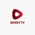 أيقونة البرنامج: BerryTv