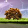 Icon of program: Spring Storm Live Wallpap…