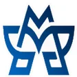 程序图标：Memory WS
