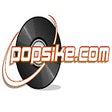 プログラムのアイコン：search popsike.com