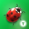 プログラムのアイコン：Fun Insects  Bugs for Kid…