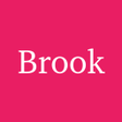 程序图标：Brook Plugin - SagerNet