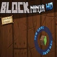 Play Minecraft Block Ninja 789