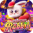 Ícone do programa: Rabbit - Fortune Game