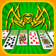 プログラムのアイコン：Spider Solitaire