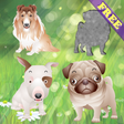 Icon of program: Puppy Dog Puzzles for Tod…