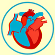 程序图标：Turbo Medical Terminology