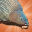 Ícone do programa: Carp Fishing Simulator