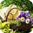 程序图标：DIY Gardening Tips