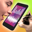 Icoon van programma: Cat Translator joke